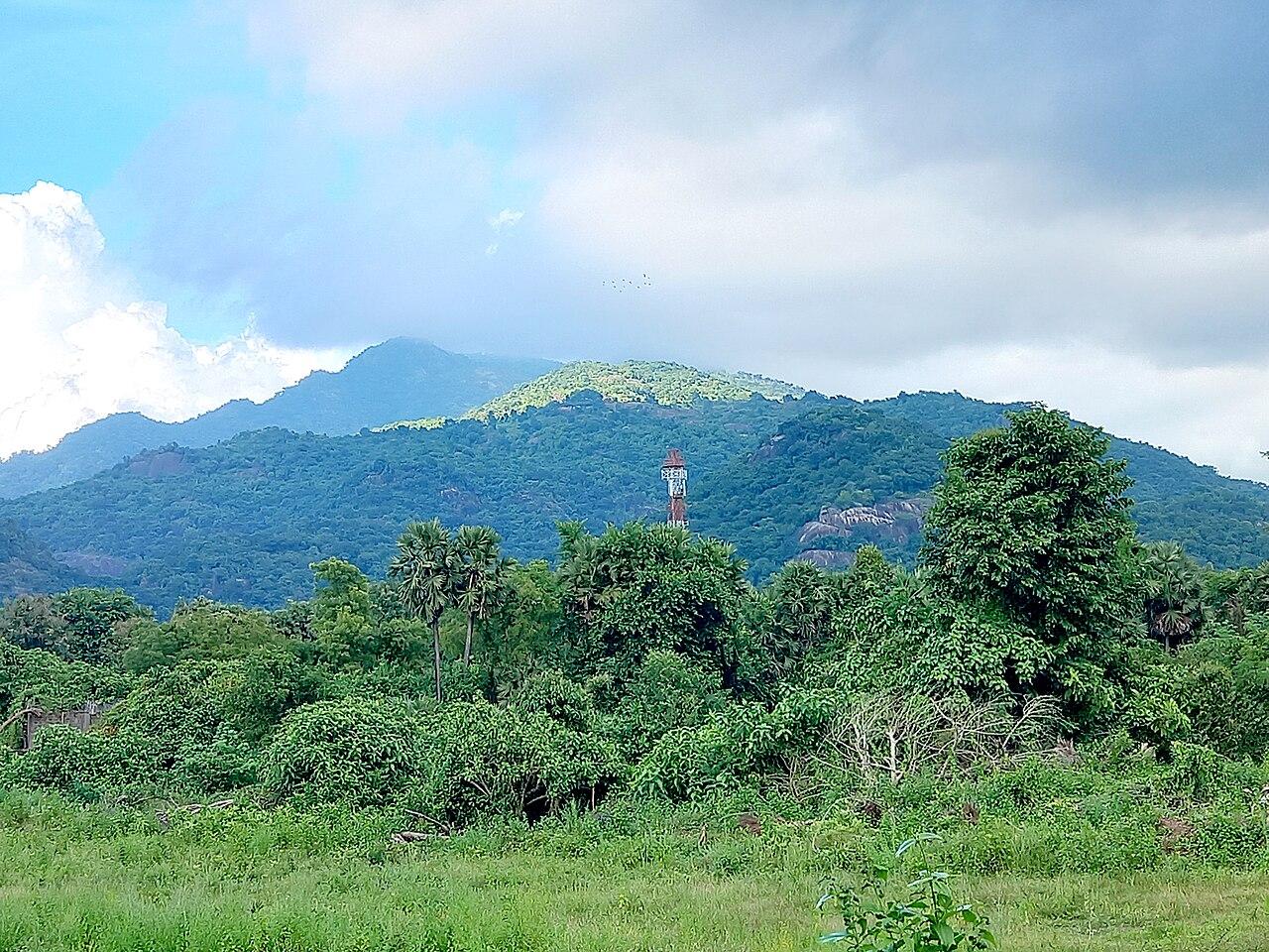 Green hills and low cloud over Araku Valley, Visakhapatnam district