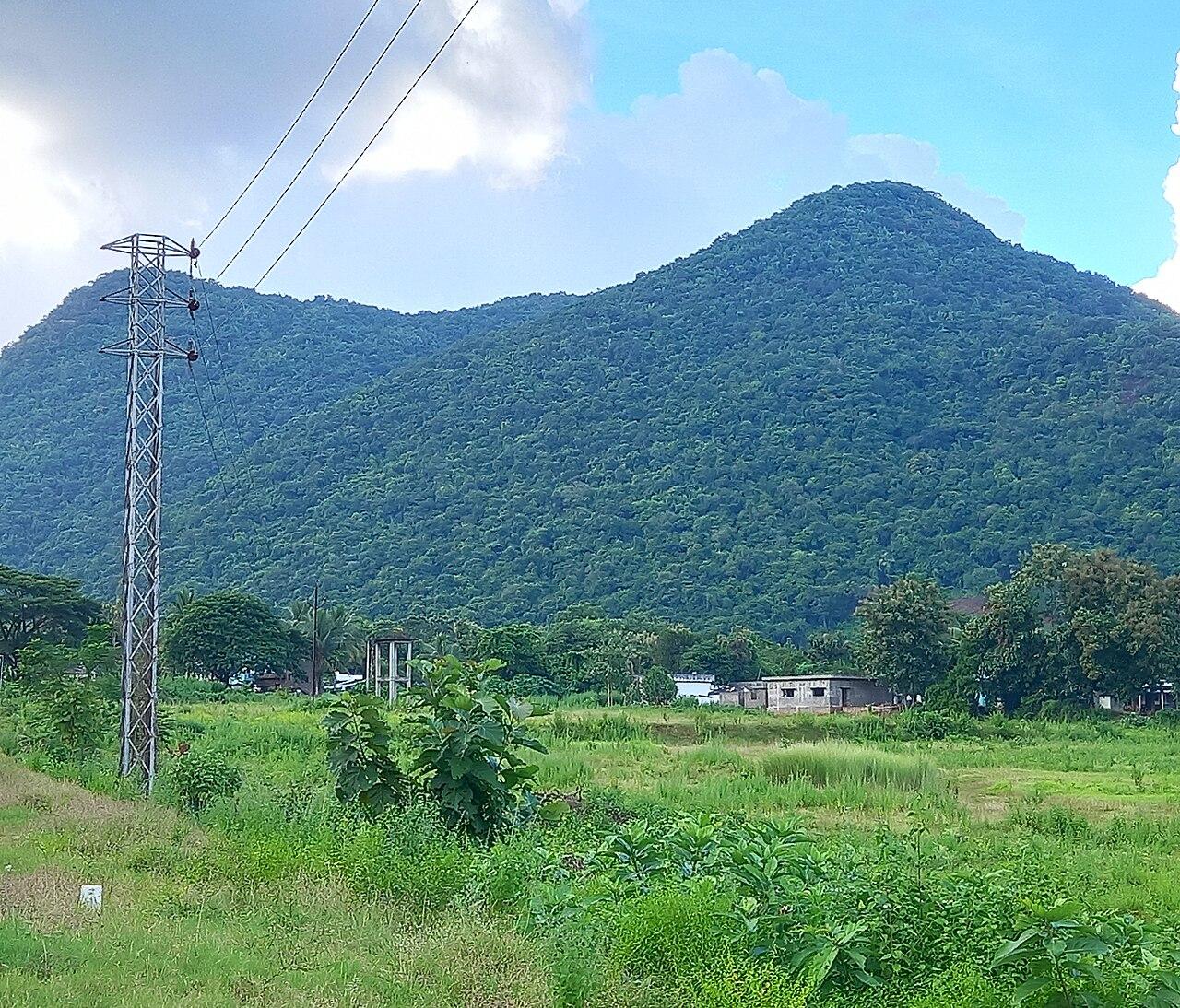 Forested hillside rising above the fields of Araku Valley