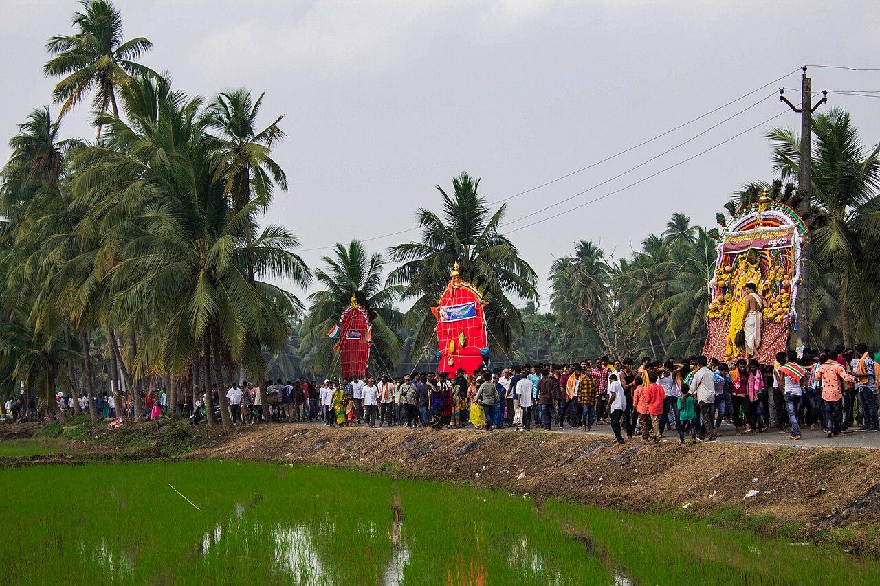 Paddy fields and coconut groves of Konaseema during the Prabhala Theertham festival