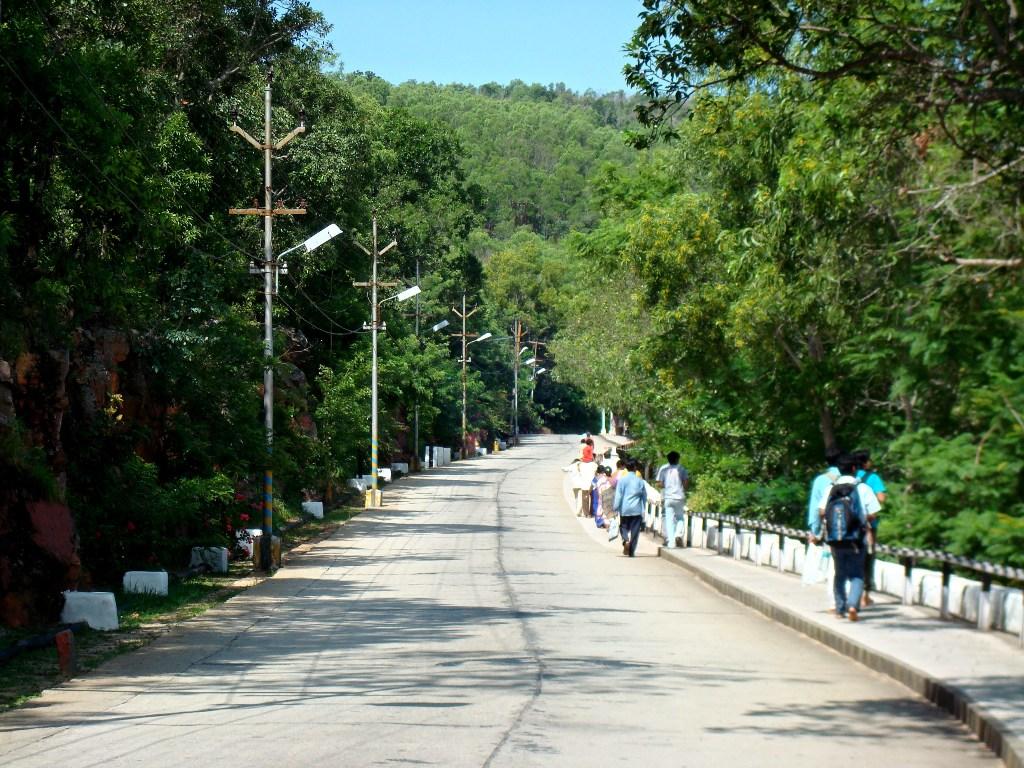 Tree-lined ghat road between Tirupati and Tirumala with pilgrims walking uphill